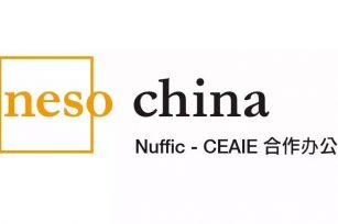 BSN小伙伴 | Neso China需要你！