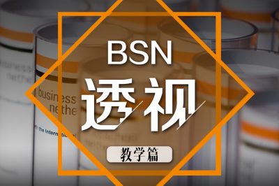 BSN透视——教学篇