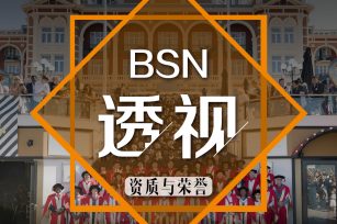 BSN透视——资质与荣誉