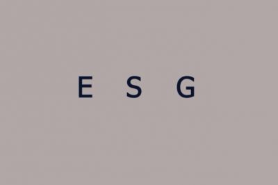 BSN荷兰商学院正式加入欧盟Erasmus+项目：用行动学习，重塑欧洲ESG教育版图